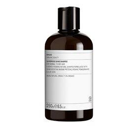 Evolve Superfood Shine Shampoo 250 ml - Pleje til dit hår