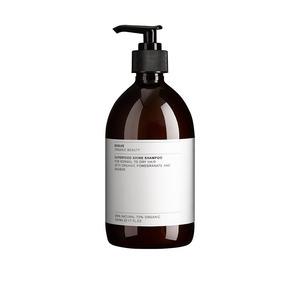 Evolve Superfood Shine Shampoo 500 - Hairtime - 5060200047422