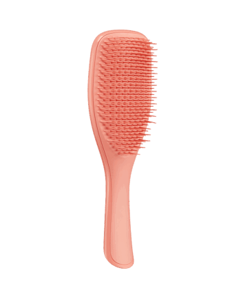 Tangle Teezer Wet Detangler Fine & Fragile Sweet Cinnamon Stk - Tangle Teezer Hairtime  - 5060926680514