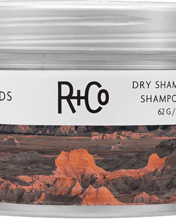 Badlands Dry Shampoo Paste - R+co Hairtime  - 0810374028100
