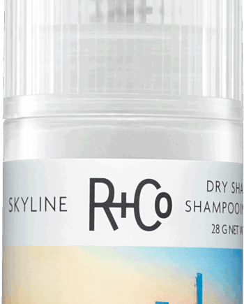 Skyline Volume Dry Shampoo Powder - R+co Hairtime  - 0810374025529