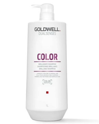 Goldwell Dualsenses Color Brilliance Shampoo 1000 - Goldwell Hairtime  - 4021609029038