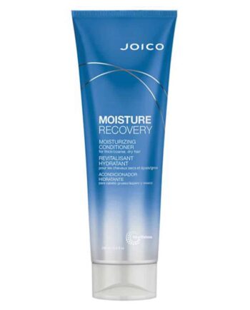 Joico Moisture Recovery Conditioner 250ml - Joico Hairtime  - 74469513906