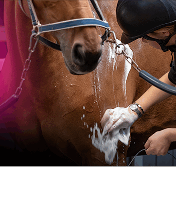 Naf Shampoo Hest Lavender Wash 500ml - Naf Hairtime  - 5032410134643