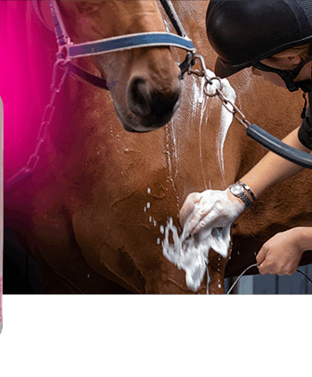 Naf Shampoo Pimp Pony 500ml - Naf Hairtime  - 5032410133301