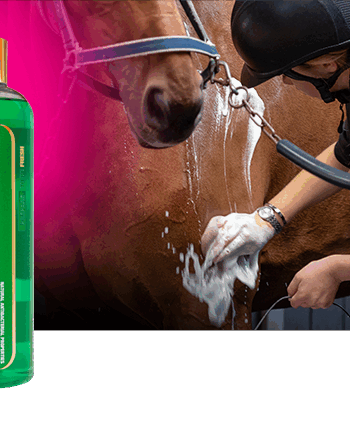 Naf Shampoo Tea Tree Minty 500 - Naf Hairtime  - 5032410134650